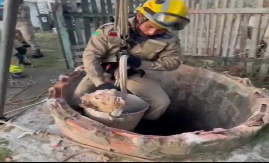 Cãozinho é resgatado de poço por bombeiros em Cruzeiro do Sul